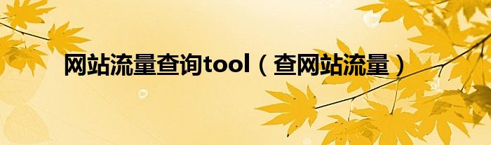 网站流量查询tool 查网站流量