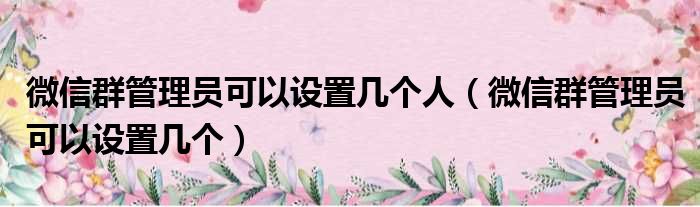 微信群管理员可以设置几个人 微信群管理员可以设置几个