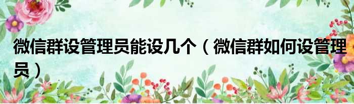 微信群设管理员能设几个 微信群如何设管理员