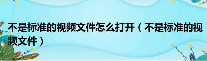 不是标准的视频文件怎么打开 不是标准的视频文件
