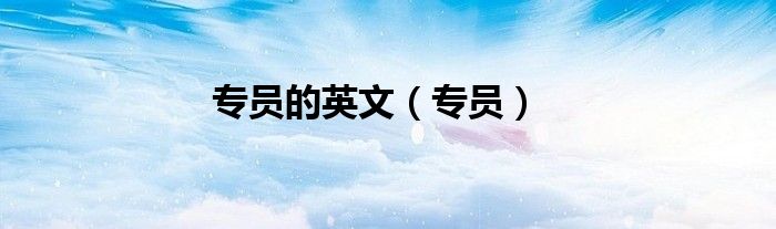 专员的英文 专员