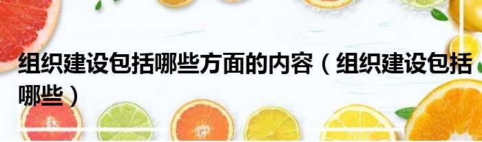 组织建设包括哪些方面的内容 组织建设包括哪些