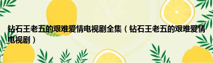 钻石王老五的艰难爱情电视剧全集 钻石王老五的艰难爱情电视剧