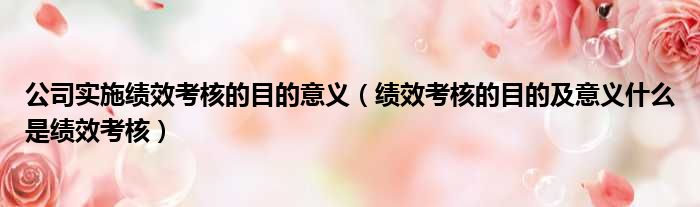 公司实施绩效考核的目的意义 绩效考核的目的及意义什么是绩效考核