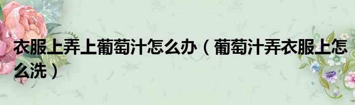 衣服上弄上葡萄汁怎么办 葡萄汁弄衣服上怎么洗