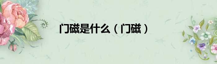 门磁是什么 门磁