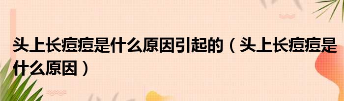 头上长痘痘是什么原因引起的 头上长痘痘是什么原因