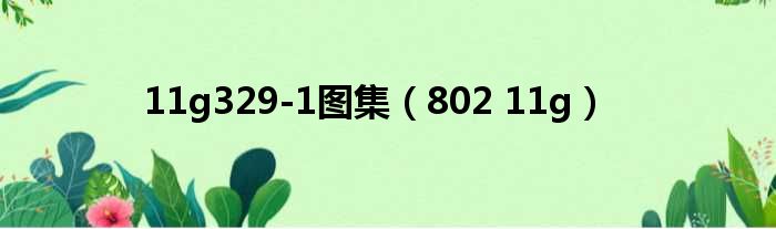 11g329 1图集 802 11g