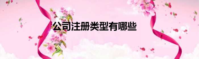 公司注册类型有哪些