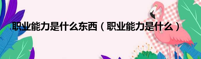 职业能力是什么东西 职业能力是什么