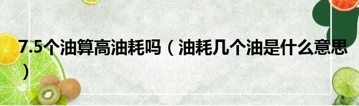 7.5个油算高油耗吗 油耗几个油是什么意思
