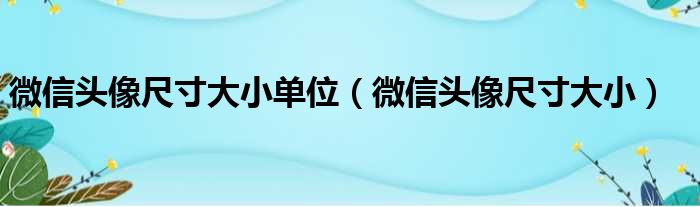 微信头像尺寸大小单位 微信头像尺寸大小