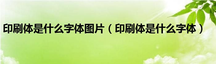 印刷体是什么字体图片 印刷体是什么字体