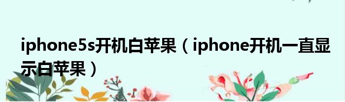 iphone5s开机白苹果 iphone开机一直显示白苹果