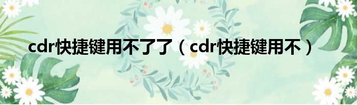 cdr快捷键用不了了 cdr快捷键用不
