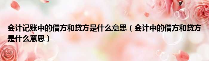 会计记账中的借方和贷方是什么意思 会计中的借方和贷方是什么意思