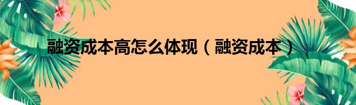融资成本高怎么体现 融资成本