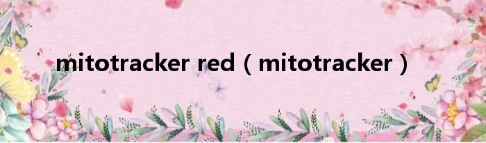 mitotracker red mitotracker