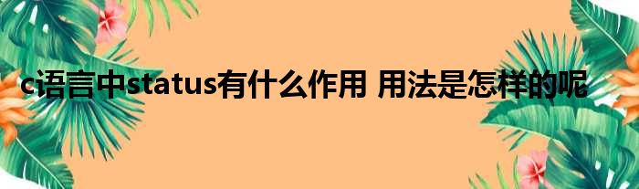 c语言中status有什么作用 用法是怎样的呢