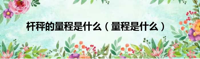 杆秤的量程是什么 量程是什么