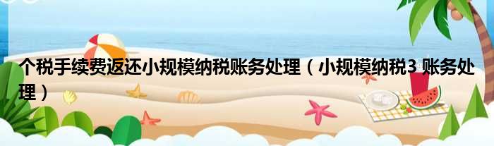 个税手续费返还小规模纳税账务处理 小规模纳税3 账务处理