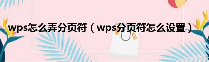 wps怎么弄分页符 wps分页符怎么设置