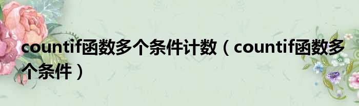 countif函数多个条件计数 countif函数多个条件