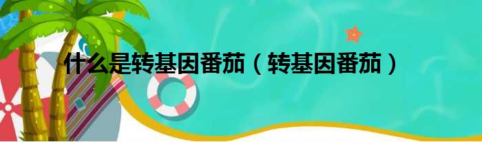 什么是转基因番茄 转基因番茄