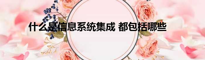 什么是信息系统集成 都包括哪些