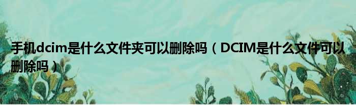 手机dcim是什么文件夹可以删除吗 DCIM是什么文件可以删除吗