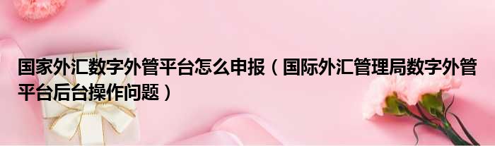 国家外汇数字外管平台怎么申报 国际外汇管理局数字外管平台后台操作问题