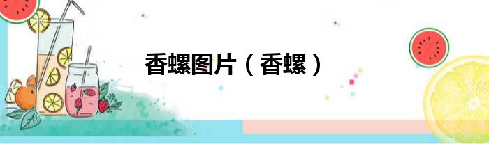 香螺图片 香螺