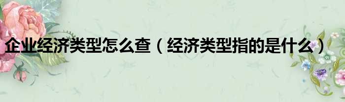 企业经济类型怎么查 经济类型指的是什么