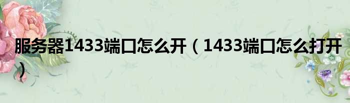 服务器1433端口怎么开 1433端口怎么打开