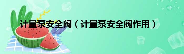 计量泵安全阀 计量泵安全阀作用