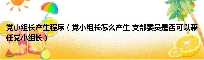 党小组长产生程序 党小组长怎么产生 支部委员是否可以兼任党小组长