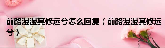 前路漫漫其修远兮怎么回复 前路漫漫其修远兮