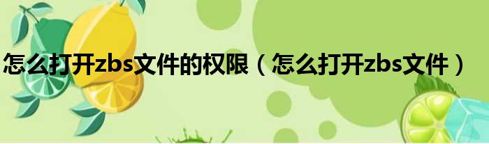 怎么打开zbs文件的权限 怎么打开zbs文件