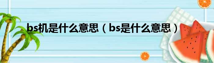 bs机是什么意思 bs是什么意思