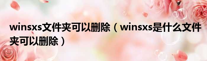 winsxs文件夹可以删除 winsxs是什么文件夹可以删除