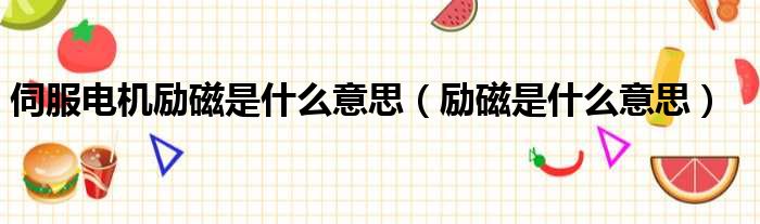 伺服电机励磁是什么意思 励磁是什么意思