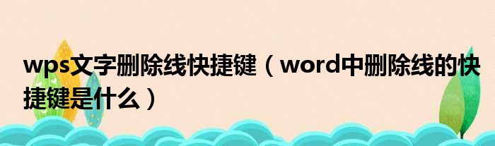 wps文字删除线快捷键 word中删除线的快捷键是什么