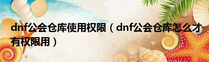 dnf公会仓库使用权限 dnf公会仓库怎么才有权限用