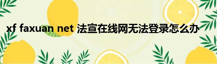 xf faxuan net 法宣在线网无法登录怎么办