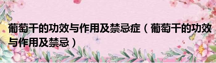 葡萄干的功效与作用及禁忌症 葡萄干的功效与作用及禁忌