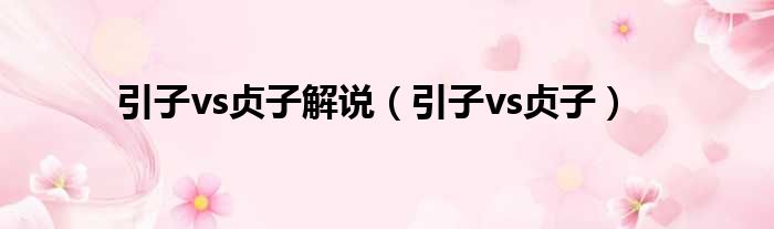 引子vs贞子解说 引子vs贞子