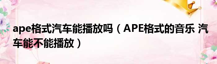 ape格式汽车能播放吗 APE格式的音乐 汽车能不能播放
