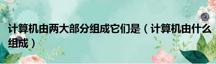 计算机由两大部分组成它们是 计算机由什么组成
