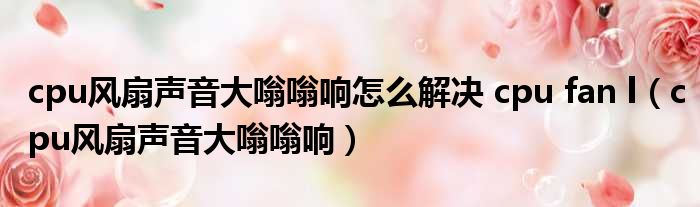 cpu风扇声音大嗡嗡响怎么解决 cpu fan l cpu风扇声音大嗡嗡响