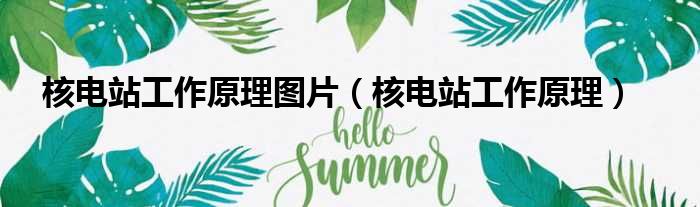核电站工作原理图片 核电站工作原理